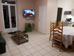 Charmant Duplex avec Jardin Privatif et Parking, à Proximité de Montargis et Pithiviers - FR-1-590-194